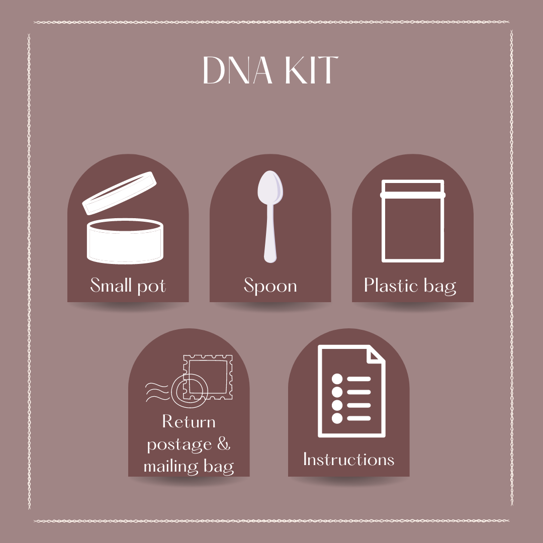 DNA Kit