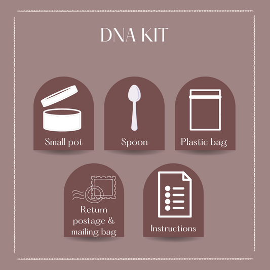 DNA Kit